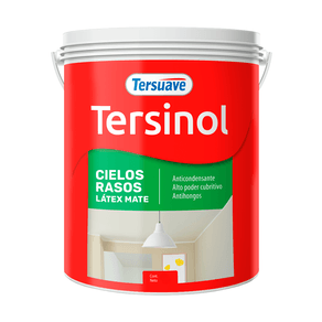 Pintura-Para-Cielorraso-Tersinol-4-L
